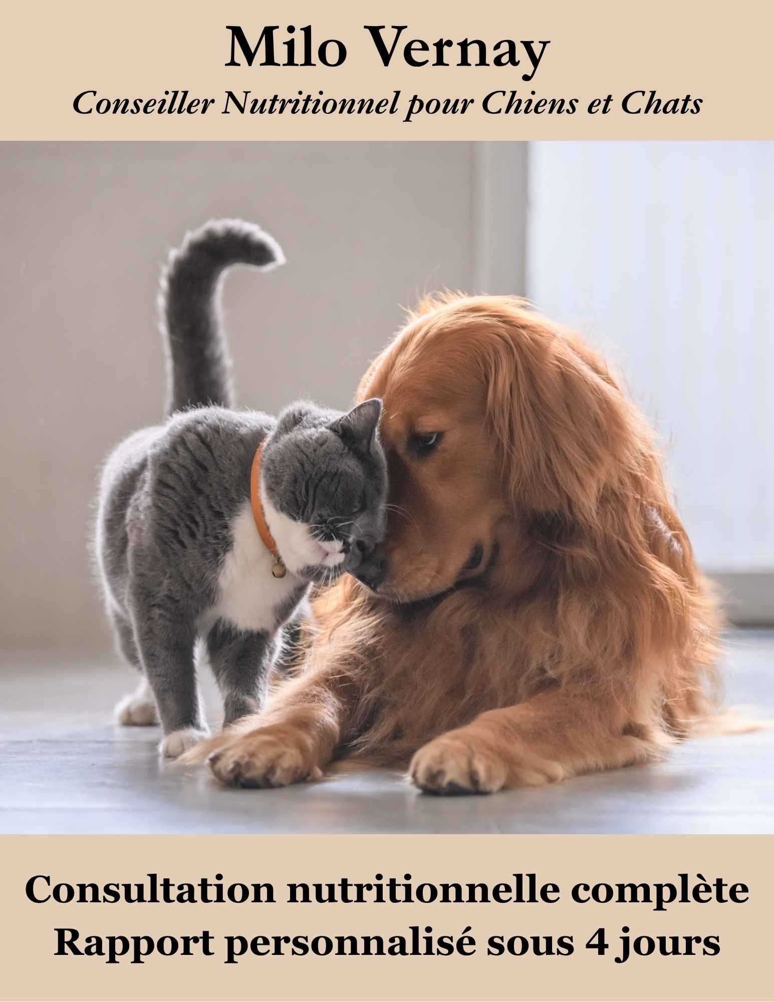 Consultation nutrition chien et chat personnalisée