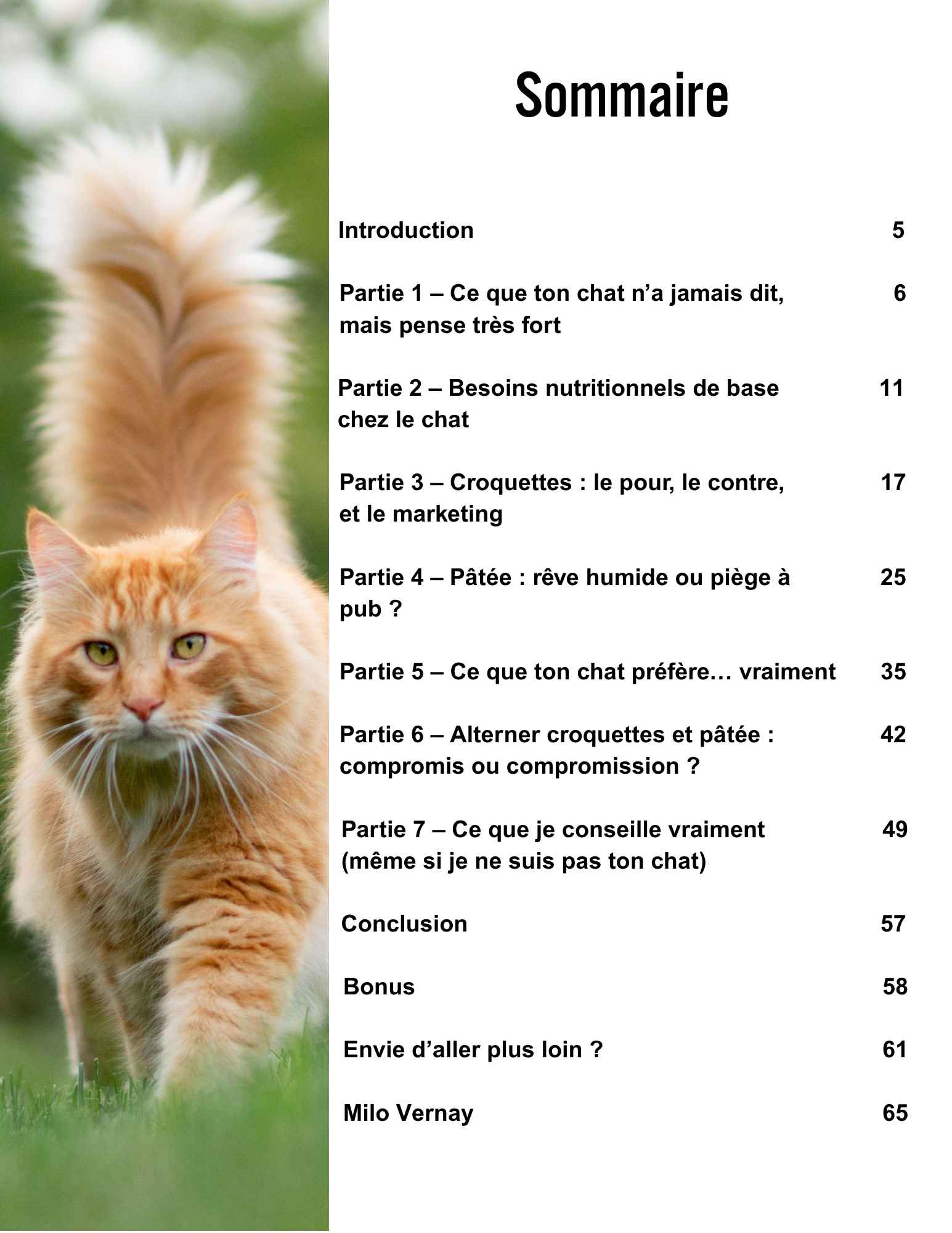 Croquettes ou pâtée : ce que préfère vraiment ton chat – Image 2